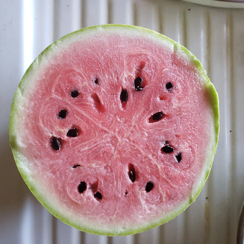 Watermelon, Christmas