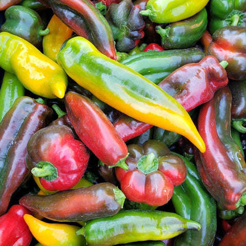Sweet Peppers, Mixed