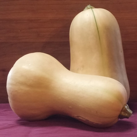 Winter Squash, Butternut