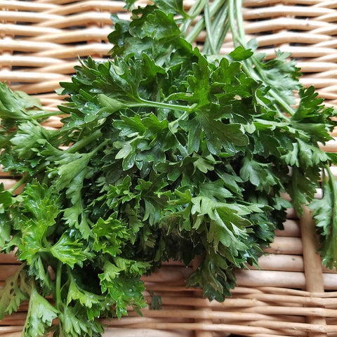 x-c&p Curly Parsley