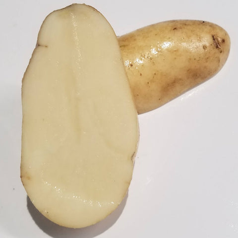 Potatoes, Kennebec