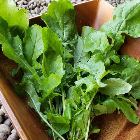 Arugula