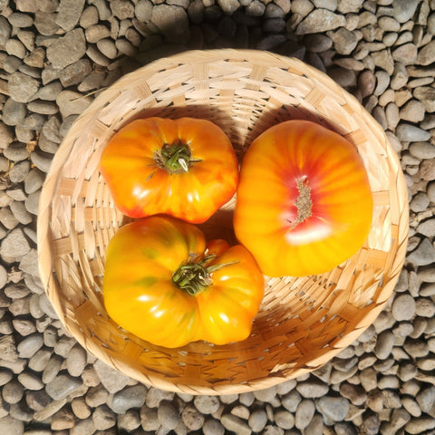 Tomatoes, German Striped Heirloom