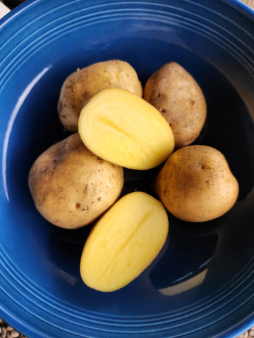 البطاطس، الجيلي