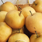 Asian Pears