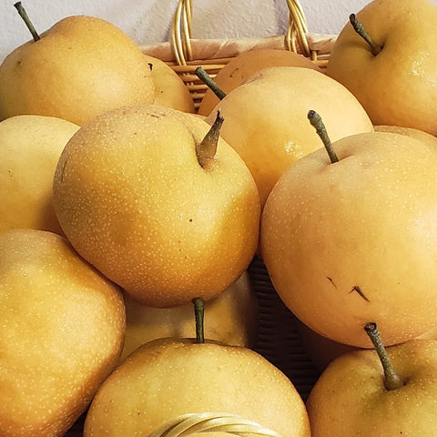 Asian Pears