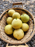 Pears, Asian*