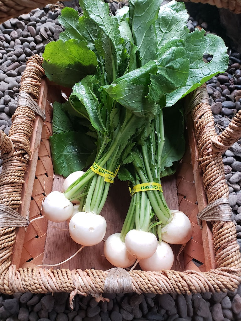 X-C&P Hakurei Turnips 2 bu