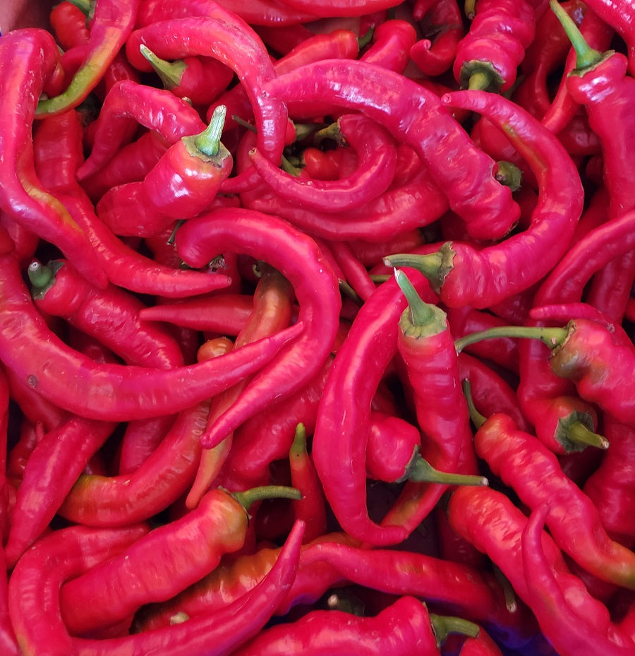 Sweet Peppers, Jimmy Nardello