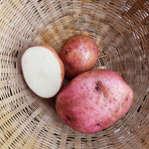 Potatoes, Red Pontiac