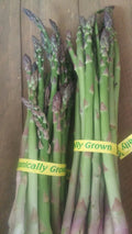 x-C&P Asparagus