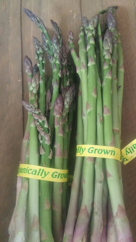 x-C&P Asparagus