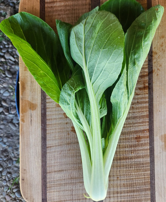Asian Greens, Bok Choy