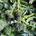 X-C&P Broccoli Florettes