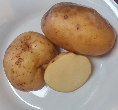 Patatas, Mondak Gold