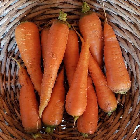 Carrots, Loose