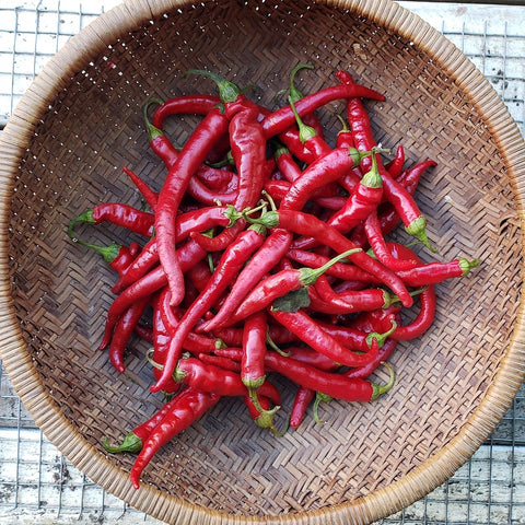 Hot Peppers, Chile de arbol-fresh