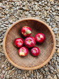 Apples, Heirloom