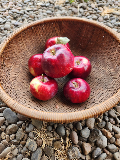 Apples, Heirloom