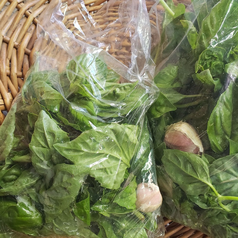 Basil, Pesto Pack