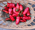 X-C&P Snack Peppers
