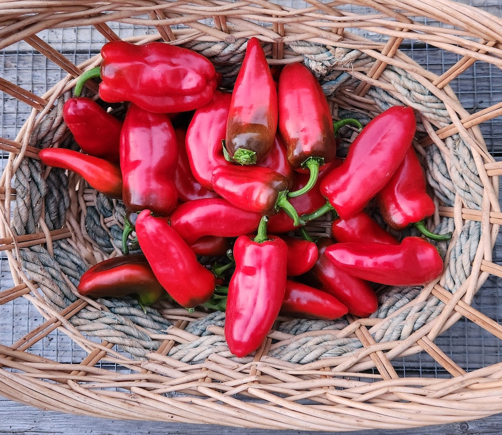 X-C&P Snack Peppers