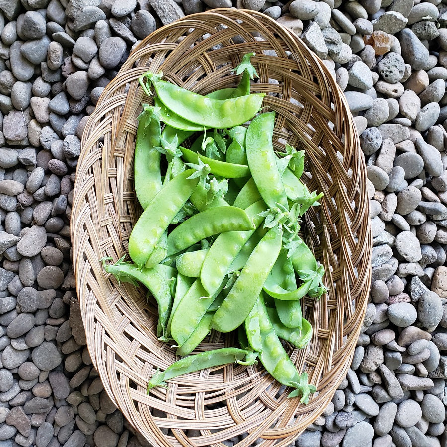 Snow Peas