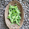 Snow Peas