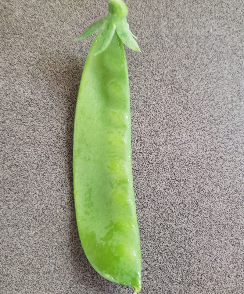 Snow Peas