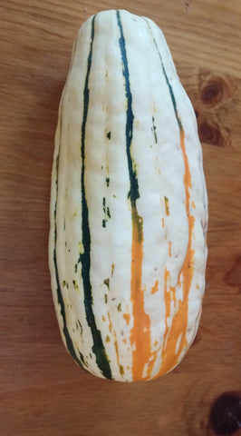 Calabaza de invierno, Delicata