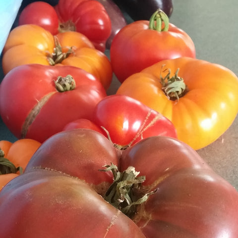 Tomatoes, Mixed Heirloom