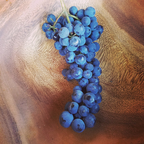 Grapes, Black Table