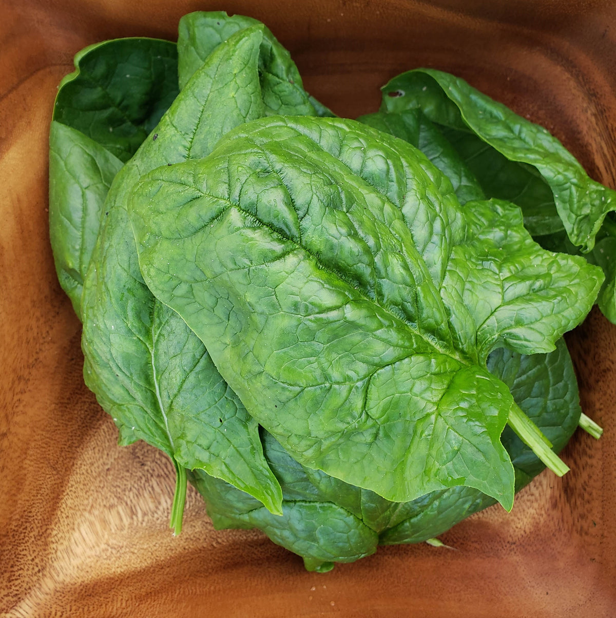 Greens, Spinach