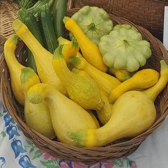 Baby Squash Medley