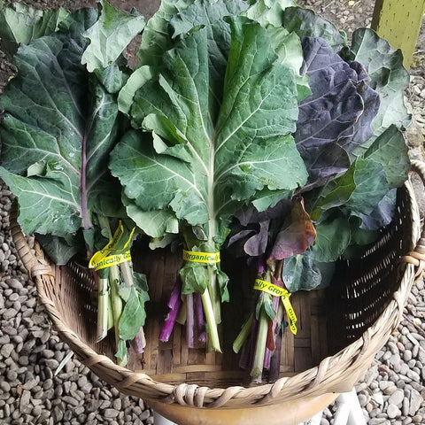 Alabama Blue "kale-ards" (berzas)