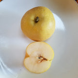 Asian Pears