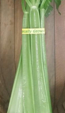 Celery Stalks