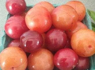 Plums, Cherry