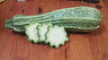 Summer Squash, Costata Romanesca