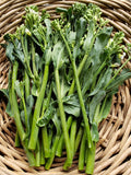 x-C&P Gai Lan