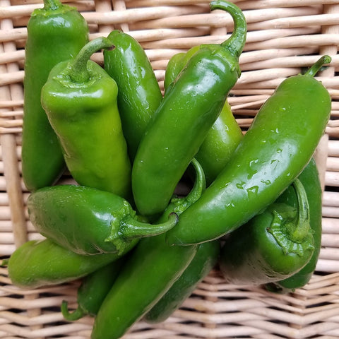 Hot Peppers, Jalapeño