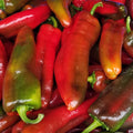 Sweet Peppers, Marconi