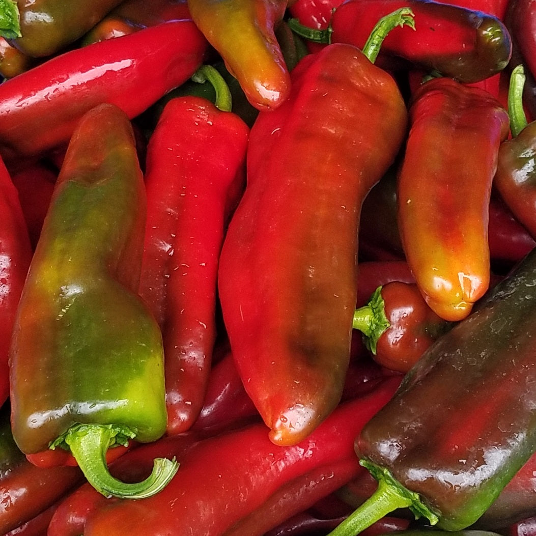 Sweet Peppers, Marconi