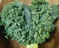 Kale, Mixed