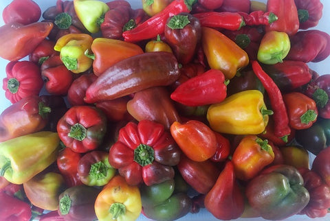 Sweet Peppers, Mixed