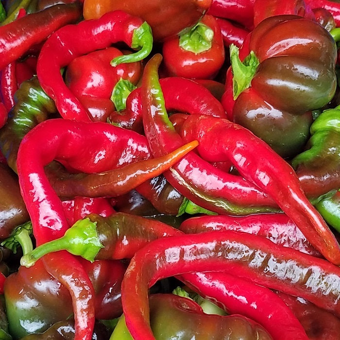 Sweet Peppers, Jimmy Nardello