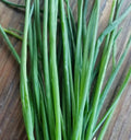 Herbs, Chives*