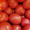 tomates, pasta
