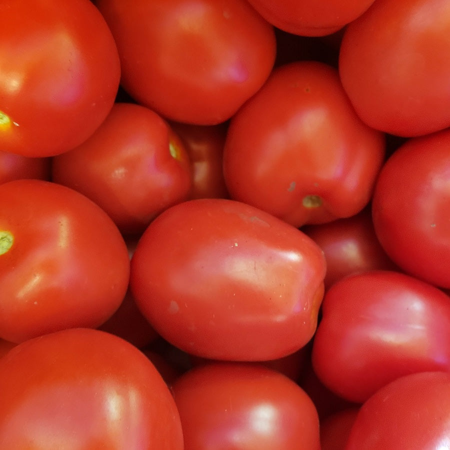 tomates, pasta