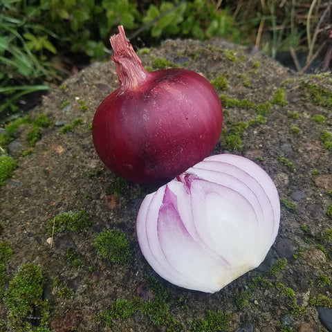 Onions, Red